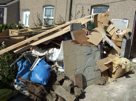 Professional team removing garden waste in Clapham