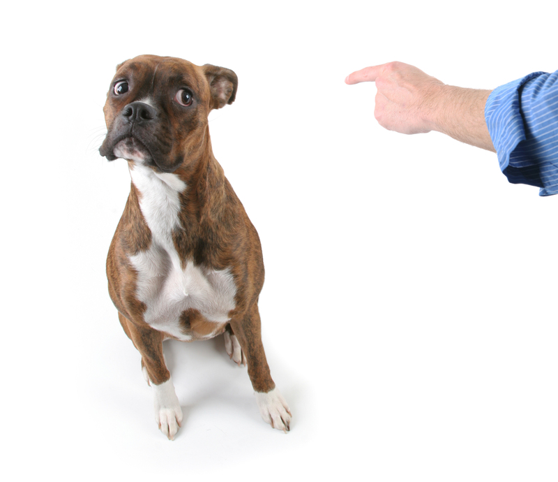 waste disposal house